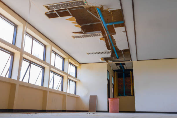 Best Flooded house restoration  in West Hurley, NY