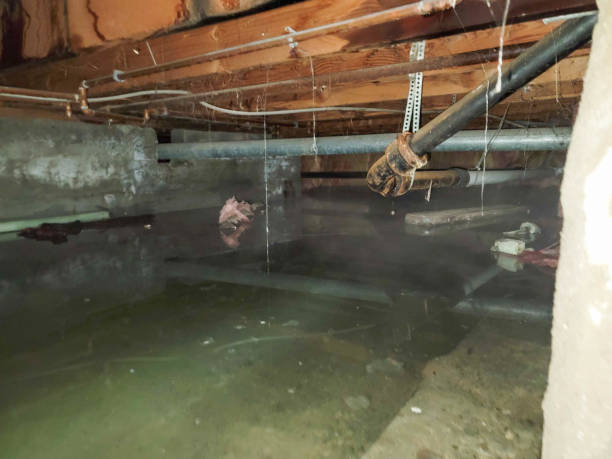 Best Flooded house restoration  in West Hurley, NY