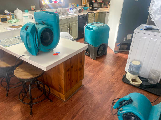 Best Water damage restoration near me  in West Hurley, NY