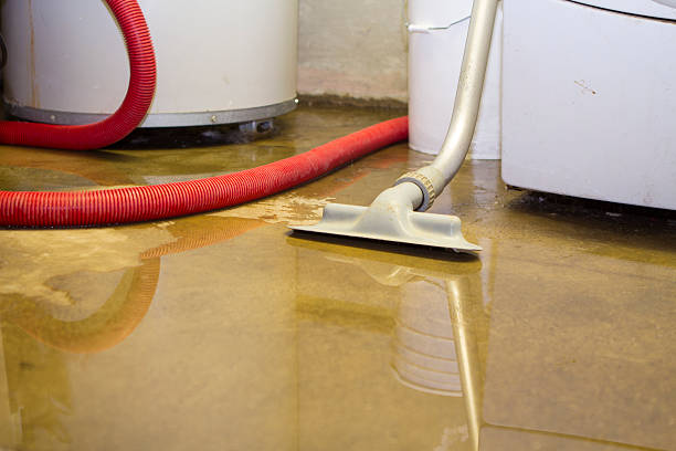 Best Commercial water damage restoration  in West Hurley, NY