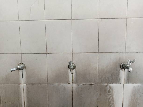 Best Basement water damage restoration  in West Hurley, NY
