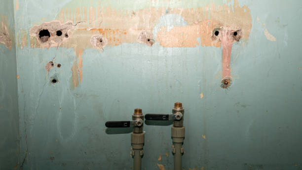 Best Water damage restoration near me  in West Hurley, NY