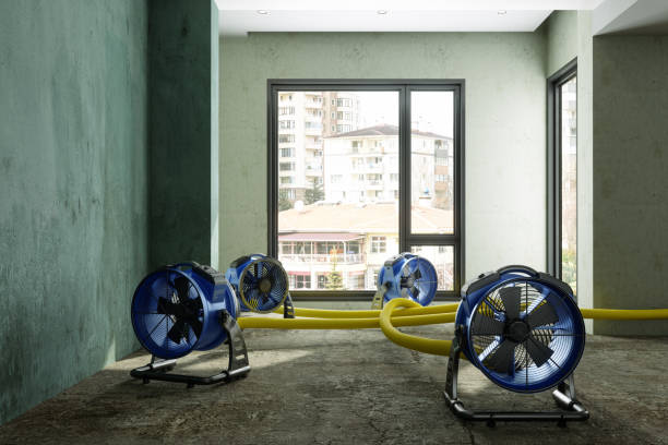 Best Residential water damage restoration  in West Hurley, NY