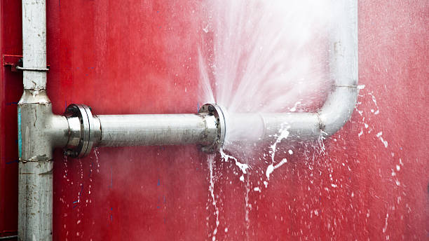 Best Water damage cleanup near me  in West Hurley, NY